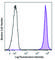 Lymphocyte antigen 6C2 antibody, 128032, BioLegend, Flow Cytometry image 