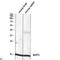 Basic Leucine Zipper ATF-Like Transcription Factor 3 antibody, LS-C813341, Lifespan Biosciences, Western Blot image 