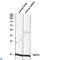 BATF3 antibody, LS-C813341, Lifespan Biosciences, Western Blot image 