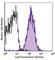 CD59A glycoprotein antibody, 143104, BioLegend, Flow Cytometry image 