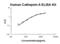 Cathepsin A antibody, EK2176, Boster Biological Technology, Enzyme Linked Immunosorbent Assay image 