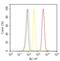 Transforming Growth Factor Beta Receptor 2 antibody, 701683, Invitrogen Antibodies, Flow Cytometry image 