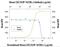 C-X-C Motif Chemokine Ligand 10 antibody, AF-466-NA, R&D Systems, Neutralising image 