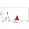 CD55 Molecule (Cromer Blood Group) antibody, GTX41914, GeneTex, Flow Cytometry image 