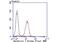 Galectin 1 antibody, NBP2-75499, Novus Biologicals, Flow Cytometry image 