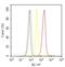 Actinin Alpha 4 antibody, 42-1400, Invitrogen Antibodies, Flow Cytometry image 