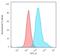 Interferon Regulatory Factor 3 antibody, NBP2-67741, Novus Biologicals, Flow Cytometry image 