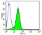 CD3d Molecule antibody, NBP2-22510, Novus Biologicals, Flow Cytometry image 