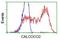 Calcium Binding And Coiled-Coil Domain 2 antibody, NBP2-03246, Novus Biologicals, Flow Cytometry image 
