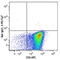 IL-4 antibody, 504117, BioLegend, Immunocytochemistry image 