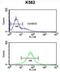 Small Cell Adhesion Glycoprotein antibody, abx032465, Abbexa, Flow Cytometry image 