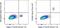 Prostaglandin D2 Receptor 2 antibody, 51-2941-82, Invitrogen Antibodies, Flow Cytometry image 