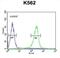 WD Repeat Domain 49 antibody, abx025962, Abbexa, Flow Cytometry image 