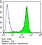 Syndecan 1 antibody, MA5-12400, Invitrogen Antibodies, Flow Cytometry image 