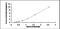 Doublecortin Like Kinase 1 antibody, MBS2021427, MyBioSource, Enzyme Linked Immunosorbent Assay image 