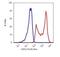 Selectin L antibody, MA1-19405, Invitrogen Antibodies, Flow Cytometry image 