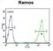 Hyaluronan Mediated Motility Receptor antibody, abx026433, Abbexa, Flow Cytometry image 