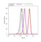 Catalase antibody, LF-MA0010, Invitrogen Antibodies, Flow Cytometry image 