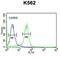 Lysine Demethylase 4B antibody, abx034353, Abbexa, Flow Cytometry image 