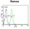 Rubicon Like Autophagy Enhancer antibody, LS-C156966, Lifespan Biosciences, Flow Cytometry image 