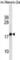 Retrotransposon Gag Like 6 antibody, abx030424, Abbexa, Western Blot image 