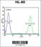 Adenosine Deaminase antibody, 55-962, ProSci, Flow Cytometry image 