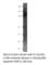 Glutamate Ionotropic Receptor AMPA Type Subunit 2 antibody, GluR2-201AP, FabGennix, Western Blot image 