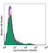 CD11C antibody, 117321, BioLegend, Flow Cytometry image 