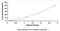 Adrenoceptor Alpha 1A antibody, MBS2024729, MyBioSource, Enzyme Linked Immunosorbent Assay image 