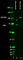 Neurofilament Light antibody, 845902, BioLegend, Immunohistochemistry frozen image 