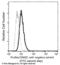 Enolase 2 antibody, 13219-MM01T, Sino Biological, Flow Cytometry image 