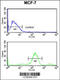 RuvB Like AAA ATPase 1 antibody, 60-402, ProSci, Flow Cytometry image 