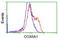 Cytochrome C Oxidase Subunit 6A1 antibody, LS-C115384, Lifespan Biosciences, Flow Cytometry image 