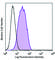 Cadherin 11 antibody, 368703, BioLegend, Flow Cytometry image 