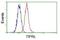 TOR Signaling Pathway Regulator antibody, NBP2-02269, Novus Biologicals, Flow Cytometry image 