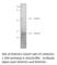 WW Domain Containing Oxidoreductase antibody, WWOX1-101AP, FabGennix, Western Blot image 