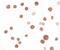 SAM Domain, SH3 Domain And Nuclear Localization Signals 1 antibody, PA5-34467, Invitrogen Antibodies, Immunocytochemistry image 