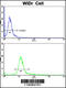 CTD Phosphatase Subunit 1 antibody, 62-370, ProSci, Flow Cytometry image 