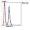 Phospholipase A1 Member A antibody, orb378378, Biorbyt, Flow Cytometry image 