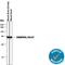 Basigin (Ok Blood Group) antibody, AF772, R&D Systems, Western Blot image 