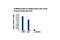 SWI/SNF Related, Matrix Associated, Actin Dependent Regulator Of Chromatin Subfamily C Member 2 antibody, 12760S, Cell Signaling Technology, Chromatin Immunoprecipitation image 