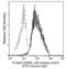 CD209 Molecule antibody, 10200-R037, Sino Biological, Flow Cytometry image 