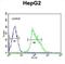 Ubiquitin carboxyl-terminal hydrolase 17 antibody, abx032541, Abbexa, Western Blot image 