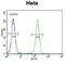 General Transcription Factor IIIC Subunit 4 antibody, abx026528, Abbexa, Flow Cytometry image 