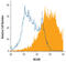 Melanoma Cell Adhesion Molecule antibody, AF3250, R&D Systems, Western Blot image 