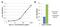 Apolipoprotein A1 antibody, MA5-14668, Invitrogen Antibodies, Enzyme Linked Immunosorbent Assay image 