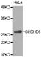 Coiled-Coil-Helix-Coiled-Coil-Helix Domain Containing 6 antibody, LS-C332627, Lifespan Biosciences, Western Blot image 