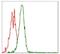 Ribosomal Protein S6 Kinase B1 antibody, NBP2-22205, Novus Biologicals, Flow Cytometry image 