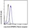 ATPase H+ Transporting Accessory Protein 2 antibody, PA5-18205, Invitrogen Antibodies, Flow Cytometry image 