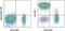 CD5 Molecule antibody, 12-0059-42, Invitrogen Antibodies, Flow Cytometry image 